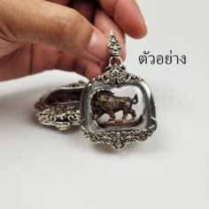 BOARSilver925_11