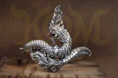 NAGA1_1