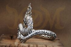 NAGA1_3