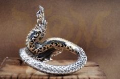 NAGA1_4