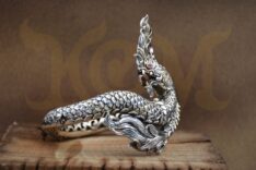 NAGA1_5