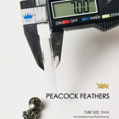 PEACOCKFEATHERS07WB_8