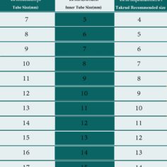 TAKRUDSIZECHART