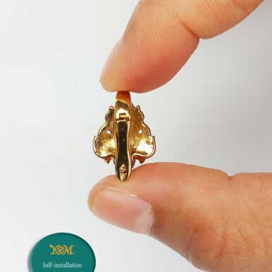 CLMP1GoldenBronze_5