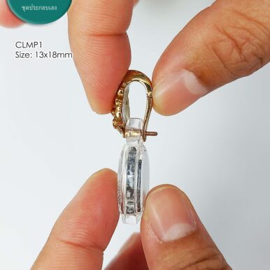 CLMP1GoldenBronze_9