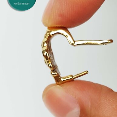 CLMP2GoldenBronze_4